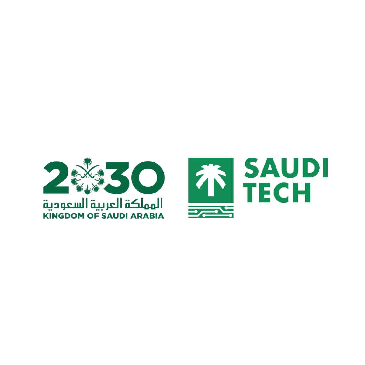 Saudi Tech and Vision 2030 logo
